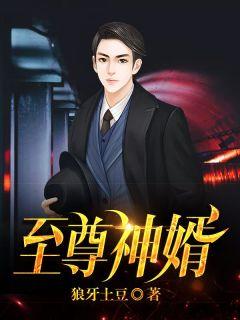 至尊神婿 10